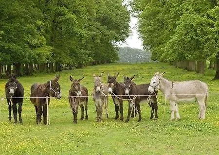 Apartman La Maison De La Mare